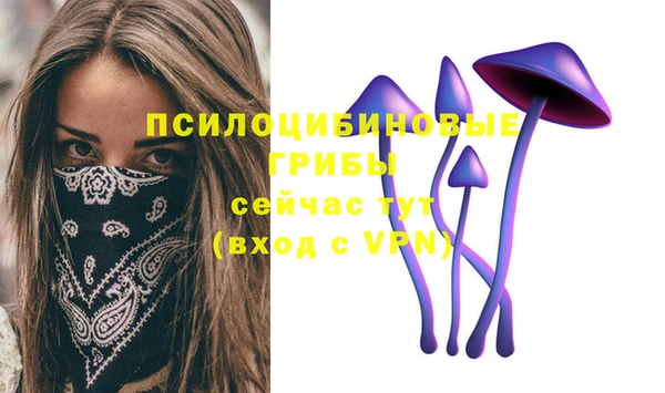спиды Балахна